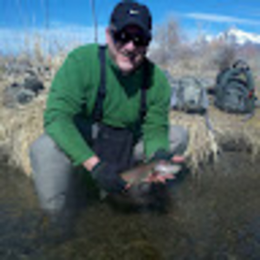 Meet your Posher, Dan